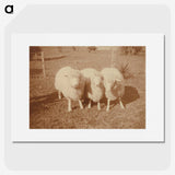 2-4_Leslie-Adkin_picture