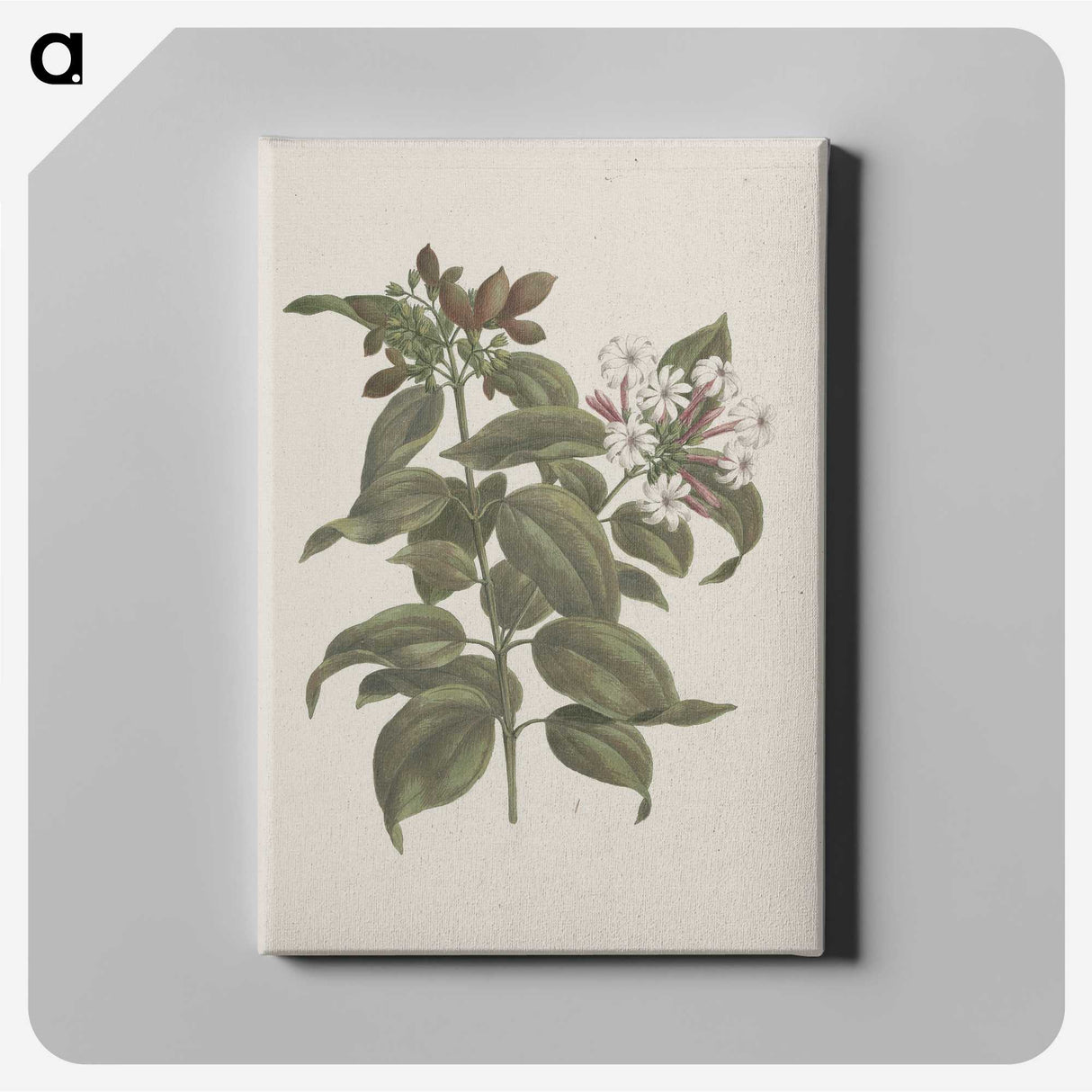 2-4_Luigi-Balugani_canvas