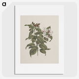 2-4_Luigi-Balugani_picture