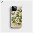 2-4_Maria-Sibylla-Merian_phone