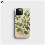 2-4_Maria-Sibylla-Merian_phone
