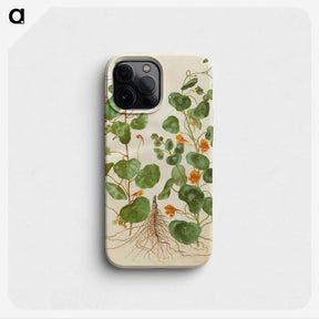 2-4_Maria-Sibylla-Merian_phone