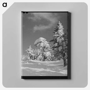 2-4_Marion-Post-Wolcott_canvas