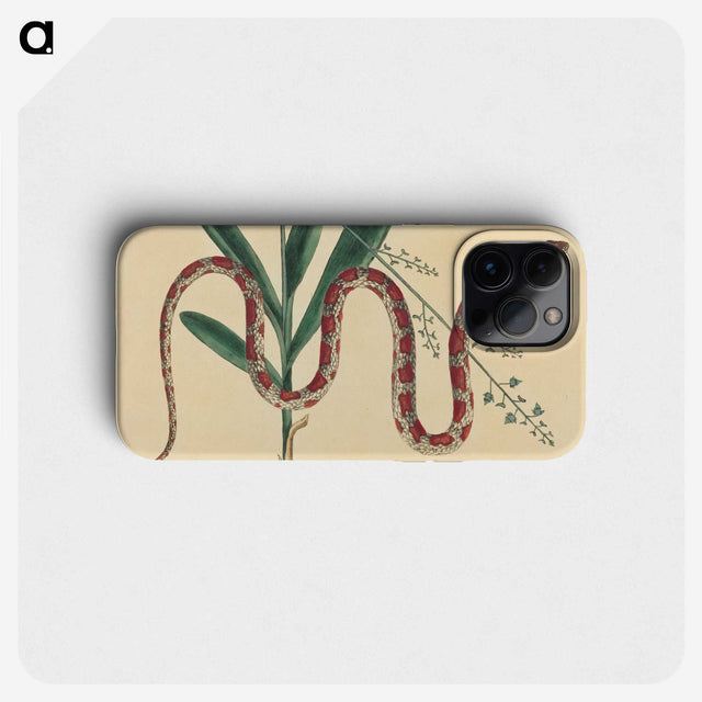 2-4_Mark-Catesby_phone