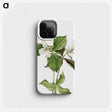 2-4_Mary-Vaux-Walcott_phone