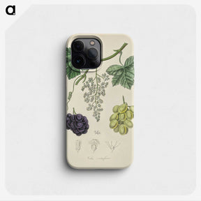 2-4_Medical-Botany_phone