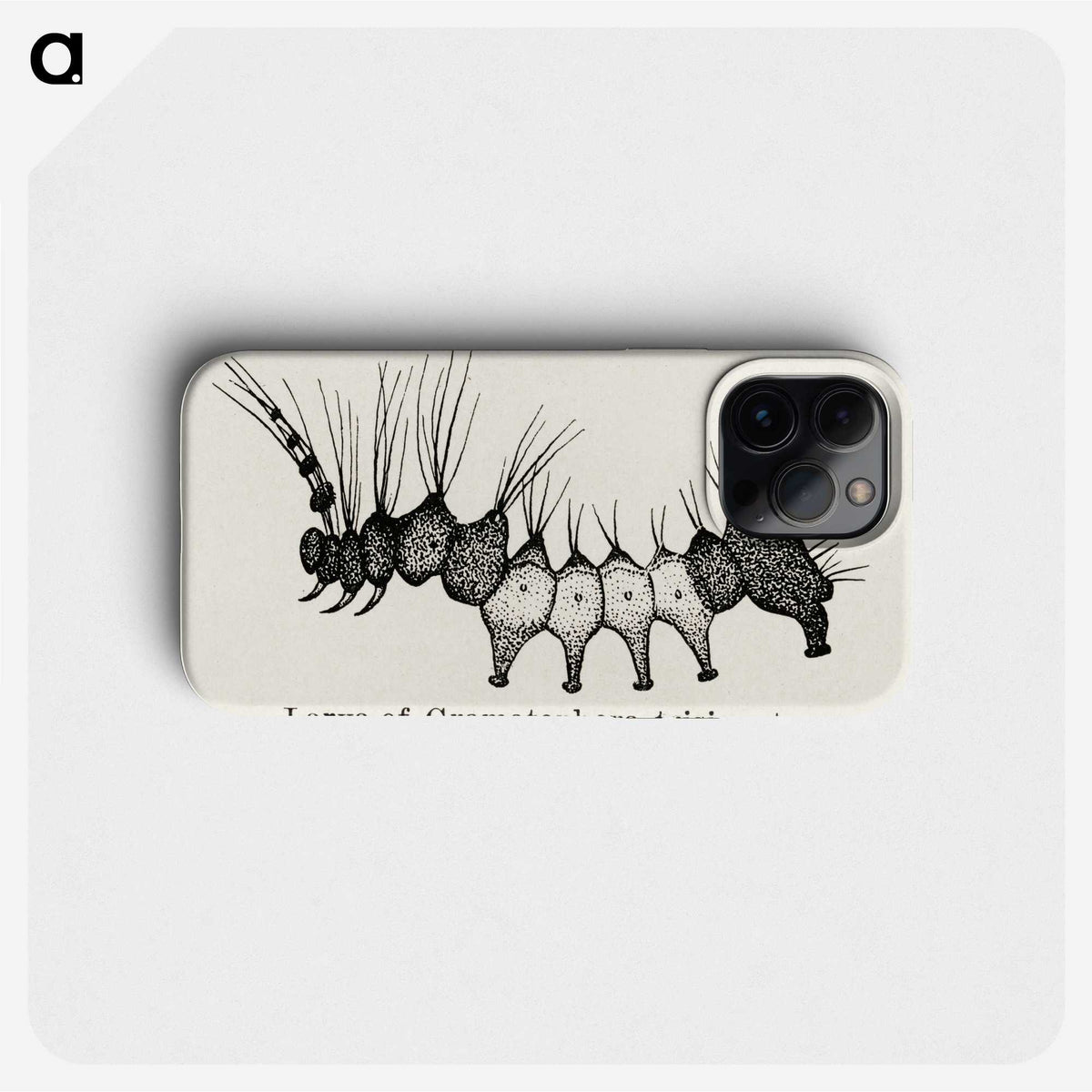 2-4_Moths-and-Butterflies-of-the-United-States_phone