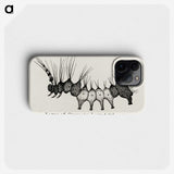 2-4_Moths-and-Butterflies-of-the-United-States_phone