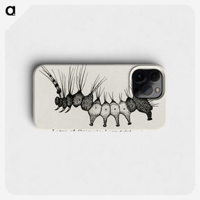 2-4_Moths-and-Butterflies-of-the-United-States_phone