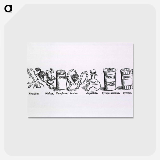 アートポストカード-Herbal Medicines in Various Containers
 - 国立医学図書館 Postcard.