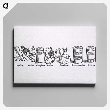2-4_National-Library-of-Medicine_canvas