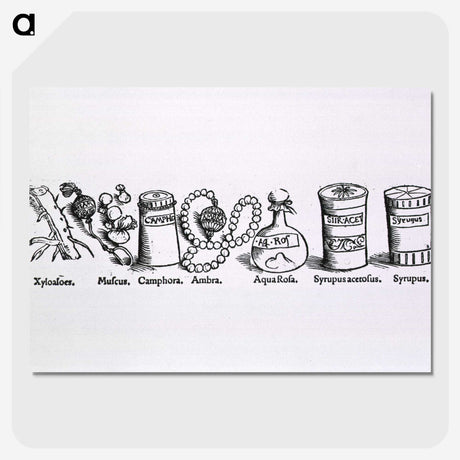 2-4_National-Library-of-Medicine_picture-crop