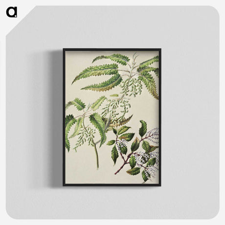 2-4_Native-Flowering-Plants-of-New-Zealand_blk-crop