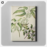 2-4_Native-Flowering-Plants-of-New-Zealand_canvas
