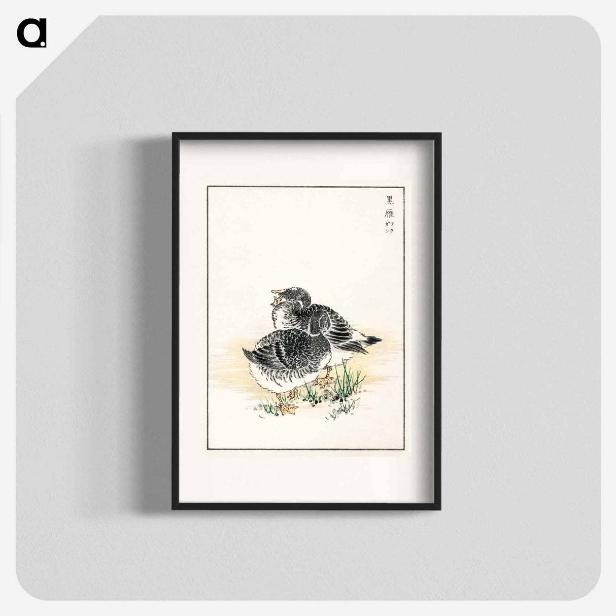 アートポスター-Black Brant Illustration
 - 鳥類図鑑 Poster.