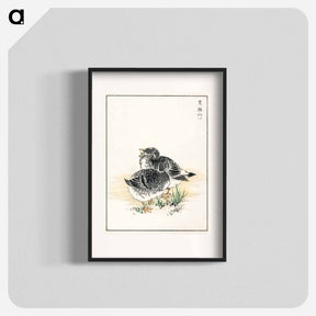 アートポスター-Black Brant Illustration
 - 鳥類図鑑 Poster.