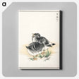 アートパネル-Black Brant Illustration
 - 鳥類図鑑 Canvas.
