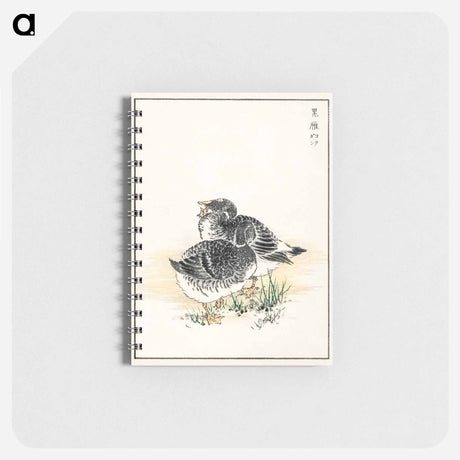 アートメモ帳-Black Brant Illustration
 - 鳥類図鑑 Memo.