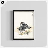 2-4_Pictorial-Monograph-of-Birds_blk-crop