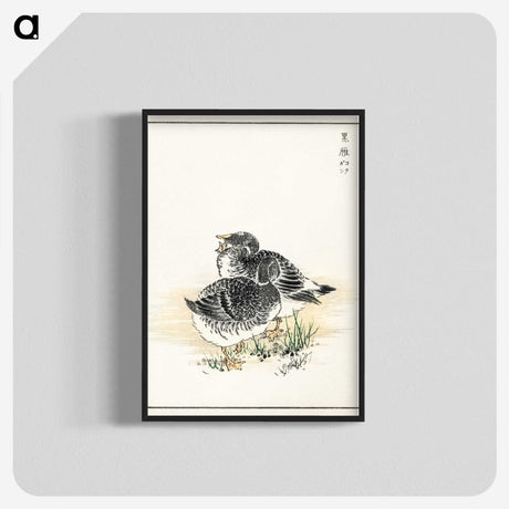 2-4_Pictorial-Monograph-of-Birds_blk-crop