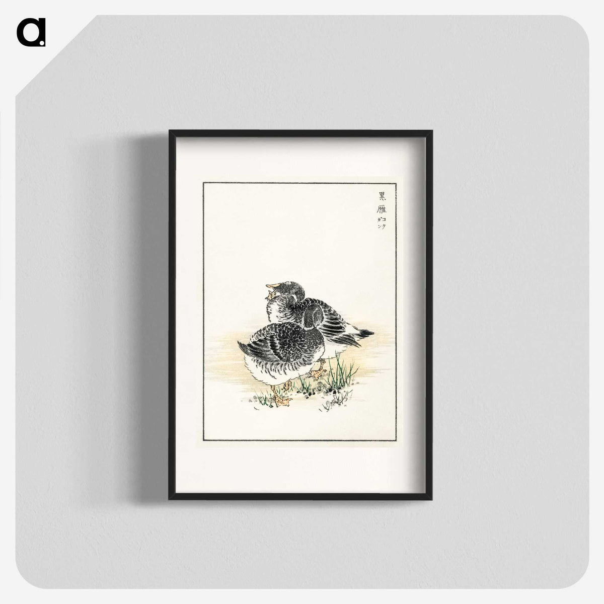 2-4_Pictorial-Monograph-of-Birds_blk
