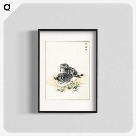 2-4_Pictorial-Monograph-of-Birds_blk