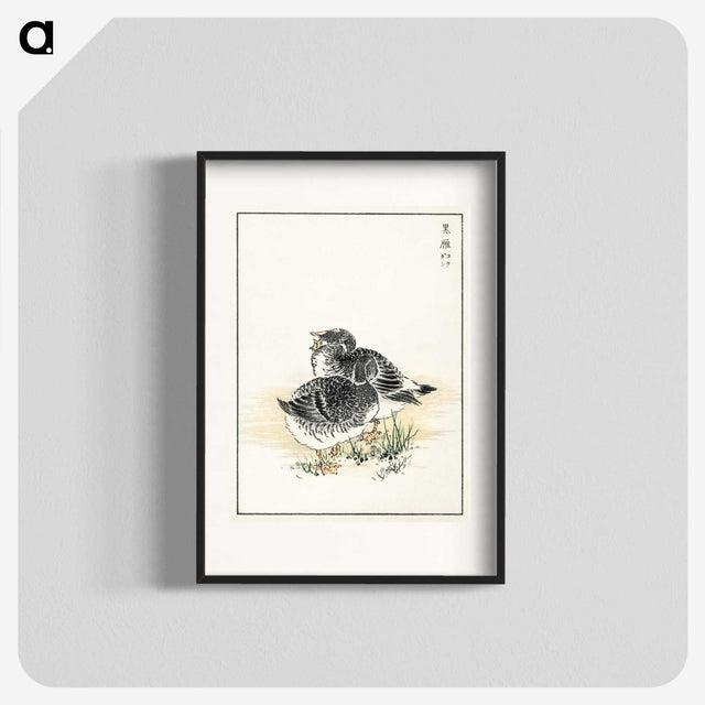 2-4_Pictorial-Monograph-of-Birds_blk