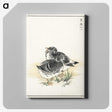 2-4_Pictorial-Monograph-of-Birds_canvas