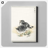2-4_Pictorial-Monograph-of-Birds_canvas