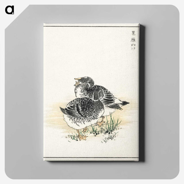 2-4_Pictorial-Monograph-of-Birds_canvas