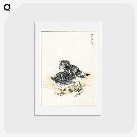 2-4_Pictorial-Monograph-of-Birds_hagaki