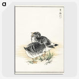 2-4_Pictorial-Monograph-of-Birds_picture-crop