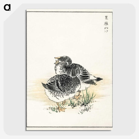 2-4_Pictorial-Monograph-of-Birds_picture-crop