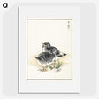 2-4_Pictorial-Monograph-of-Birds_picture