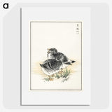 2-4_Pictorial-Monograph-of-Birds_picture