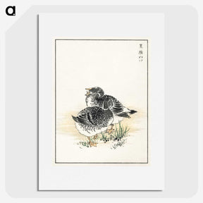 2-4_Pictorial-Monograph-of-Birds_picture