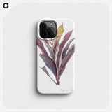 Cordyline fruticosa illustration - ピエール ジョゼフ ルドゥーテ Phone Case.