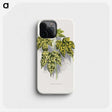 2-4_Plants-with-Colored-Foliage_phone