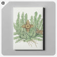 2-4_Robert-Jacob-Gordon_canvas