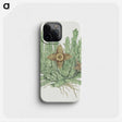 2-4_Robert-Jacob-Gordon_phone