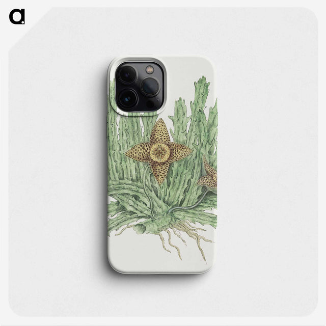 2-4_Robert-Jacob-Gordon_phone