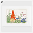 2-4_Seiyo-Soka-Zufu_picture