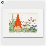 2-4_Seiyo-Soka-Zufu_picture