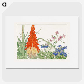 2-4_Seiyo-Soka-Zufu_picture