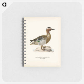 アートメモ帳-Garganey Male
 - スヴェンスカ フォグラル Memo.
