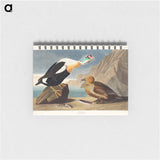 アートメモ帳-King Duck from Birds of America
 - アメリカの鳥たち Memo.