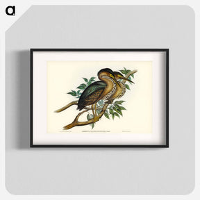 アートポスター-Thick-billed Green Bittern
 - オーストラリアの鳥 Poster.