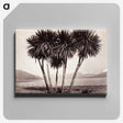2-4_The-Burton-Brothers_canvas