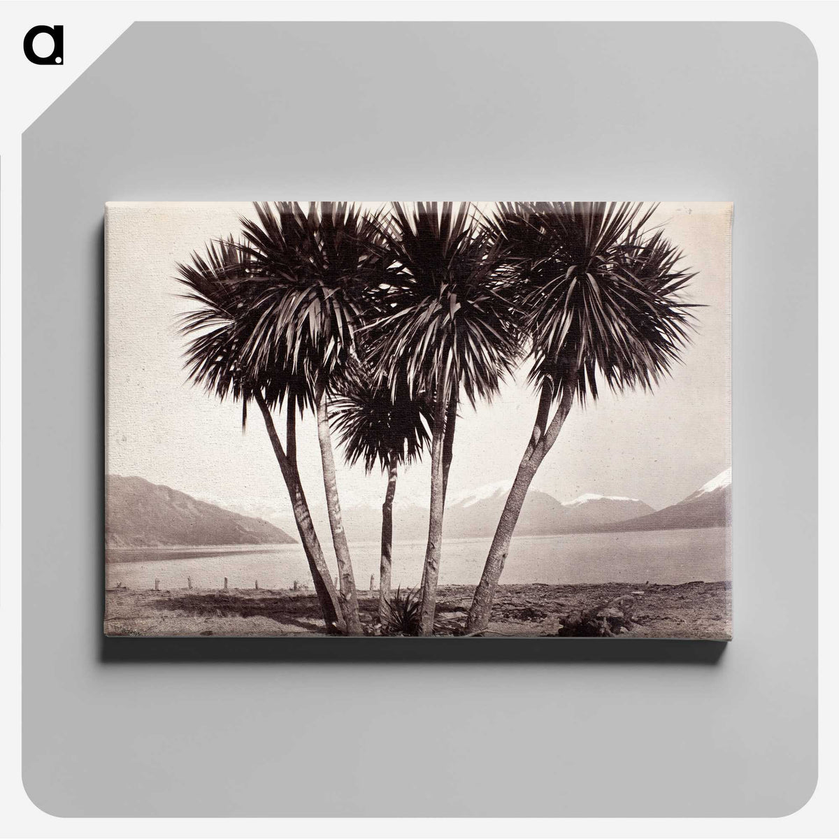 2-4_The-Burton-Brothers_canvas