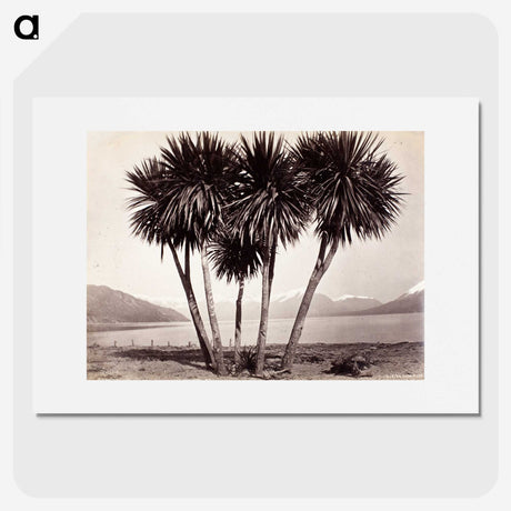 2-4_The-Burton-Brothers_picture